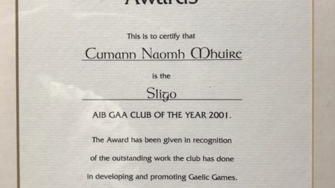 2001 AIB Club of the Year